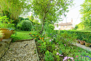 Garden- click for photo gallery